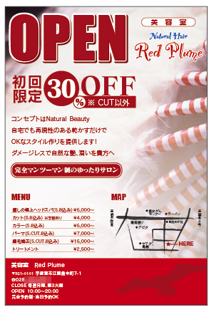 フライヤー