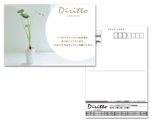 ポストカード・DM
